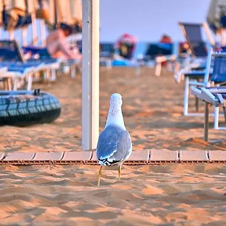 Hotel Homely Close To The Bibione